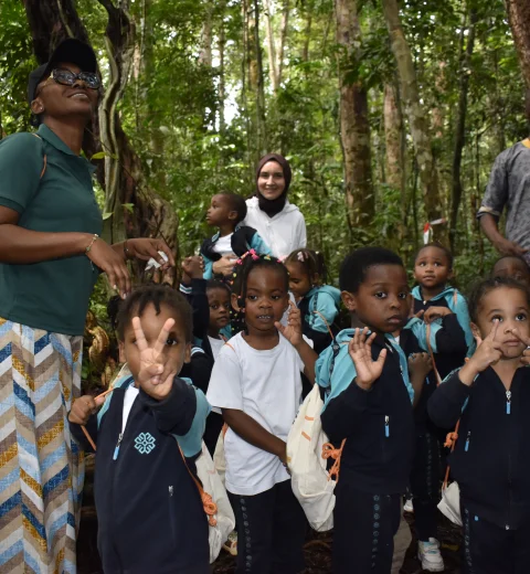 Les Petits Explorateurs de l'École Maarif à la Découverte de l'Arboretum de Sibang